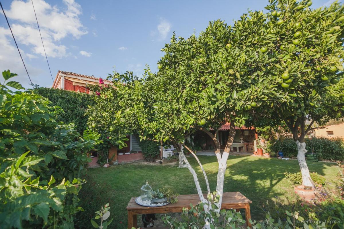 Zacharoulas Katikies Amarynthos Dış mekan fotoğraf