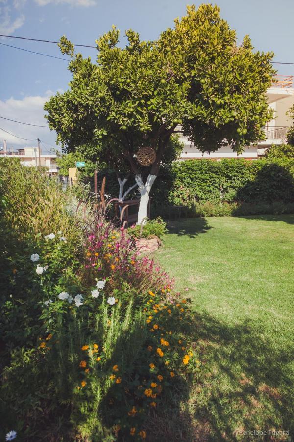 Zacharoulas Katikies Amarynthos Dış mekan fotoğraf