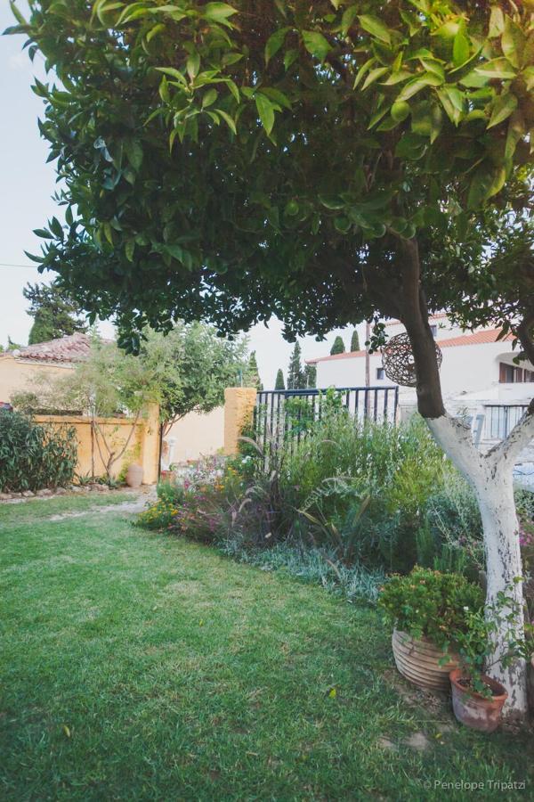 Zacharoulas Katikies Amarynthos Dış mekan fotoğraf