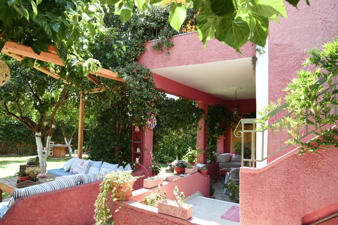 Zacharoulas Katikies Amarynthos Dış mekan fotoğraf